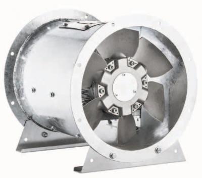 Termo Fanlar