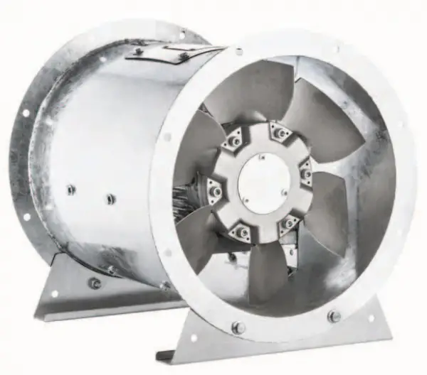 Termo Fanlar